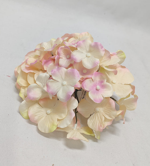 imagine produs Cap hortensie 15cm nalba