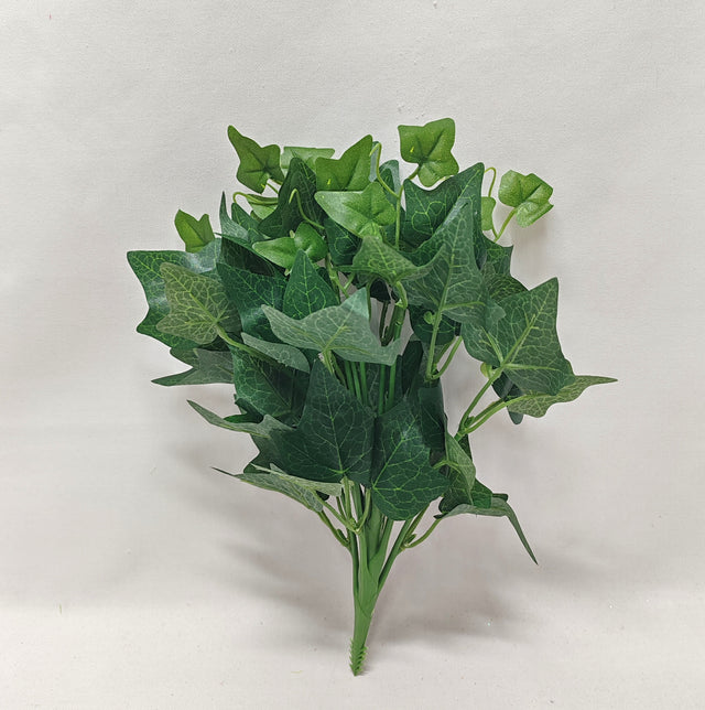 imagine produs Buchet hedera x12 H:27cm