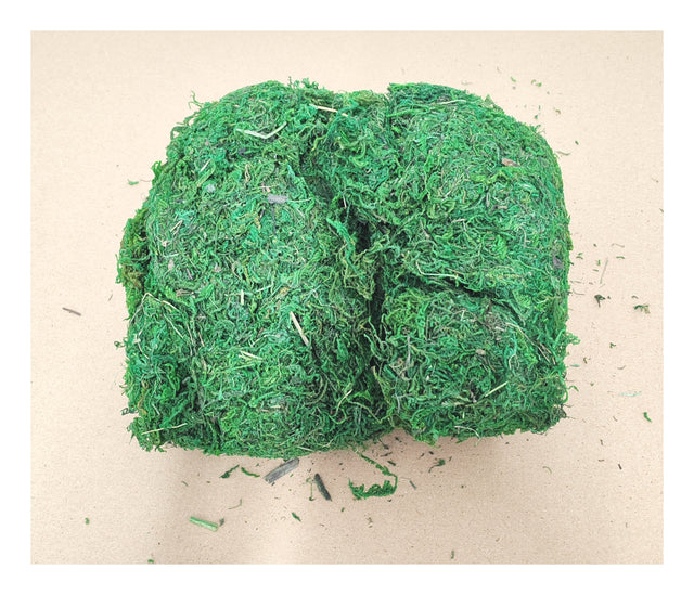 imagine produs Muschi 100gr verde