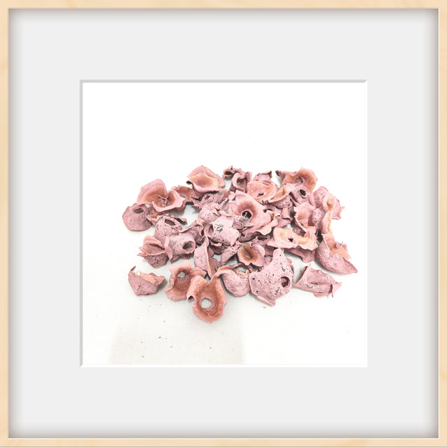 imagine produs Zem vopsit nalba