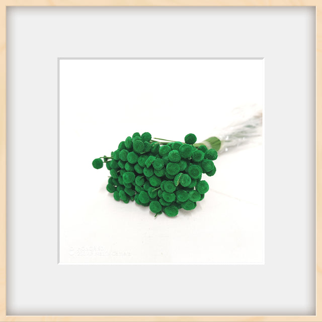 imagine produs Pavao 80g verde inchis