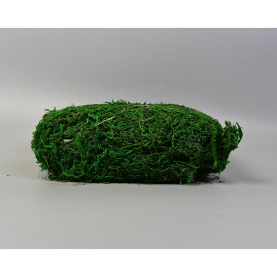 Muschi 100g verde muschi