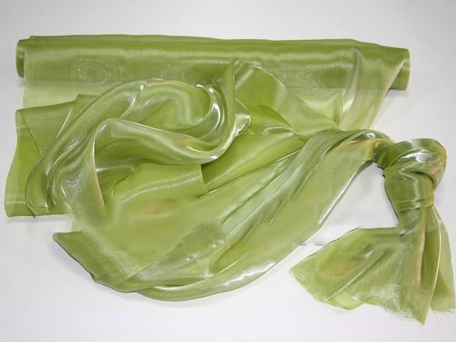 ORGANZA SATEN 47CMX10M VERDE MUSCHI DESCHIS