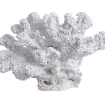 Coral polirezin alb