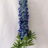 FIR LUPINA H:120CM ALBASTRU