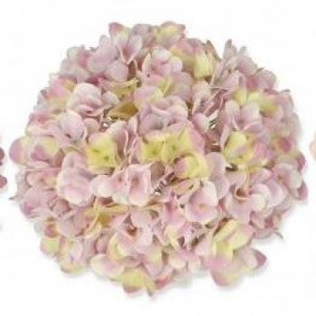 Cap hortensie 25cm mov deschis