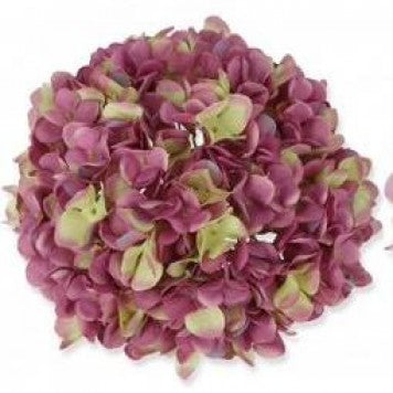 Cap hortensie 25cm mov