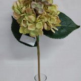 Fir hortensie 45cm verde