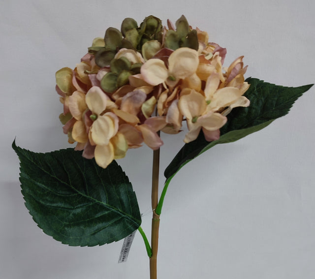 Fir hortensie 45cm piersica