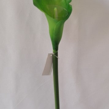 FIR CALE EXTRA 70CM VERDE INCHIS