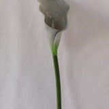 FIR CALE EXTRA 70CM GRI