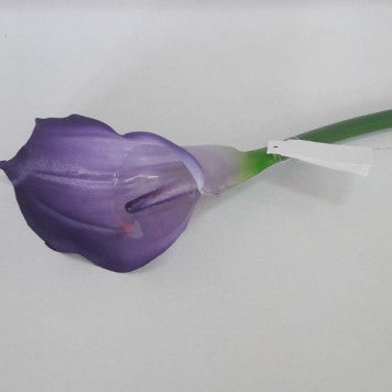 FIR CALE EXTRA 70CM MOV