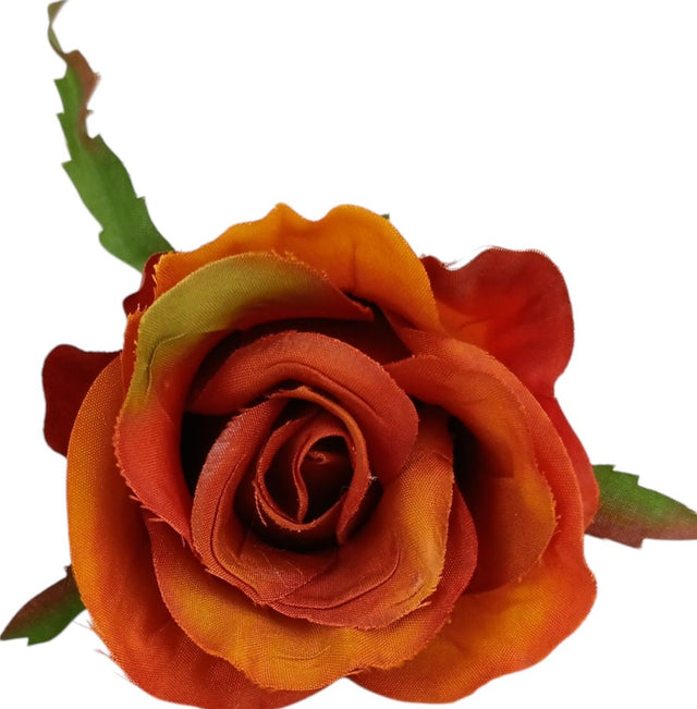 Cap trandafiri 5cm S/24