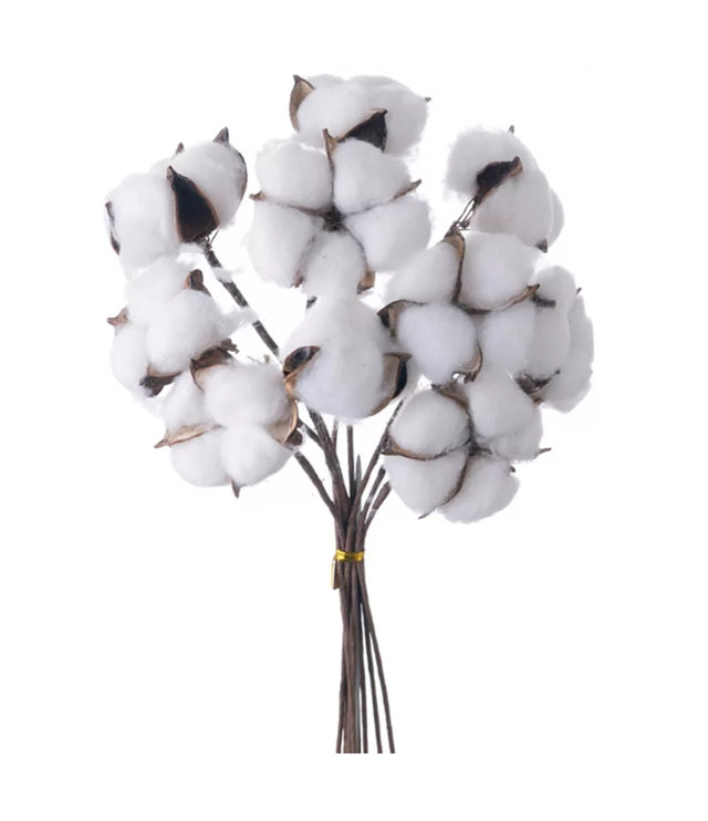 imagine produs Creanga flori de bumbac 33cm S/10