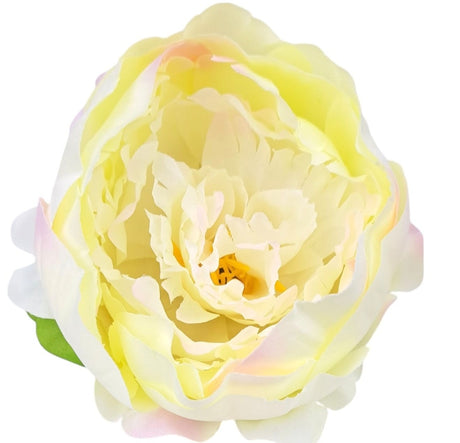 imagine produs Cap peonie 10cm S/12 pink/ivory