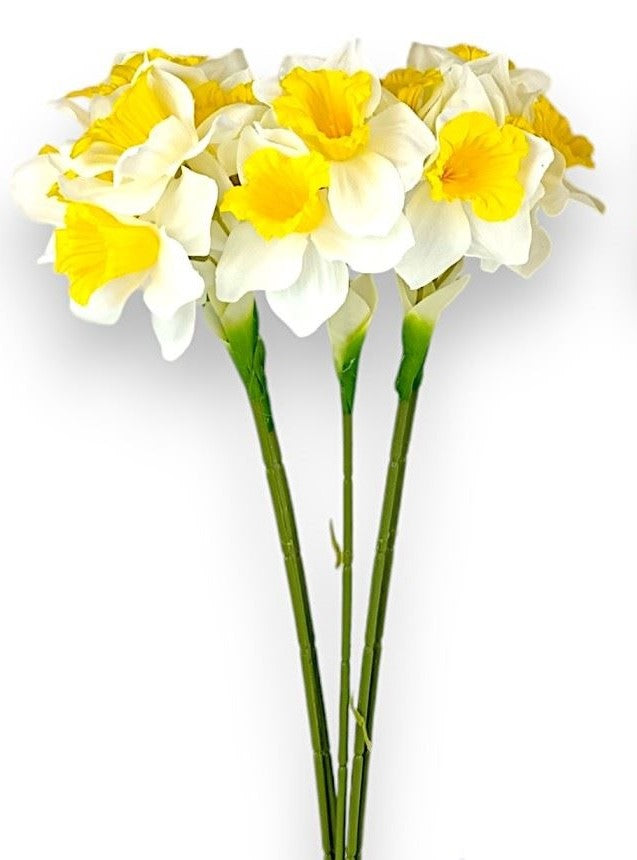Legatura narcis 44cmx6 crem