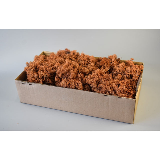 Muschi islanda maro 500gr