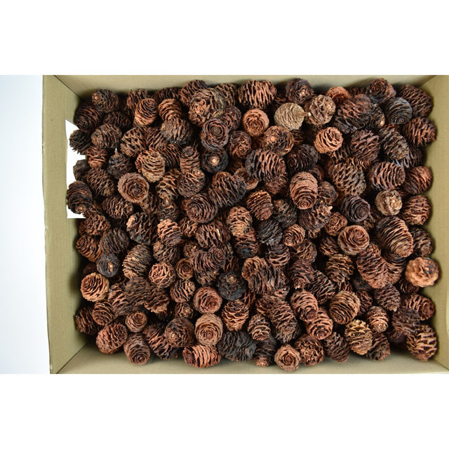 STRICTUM NATUR 2.5KG Z203