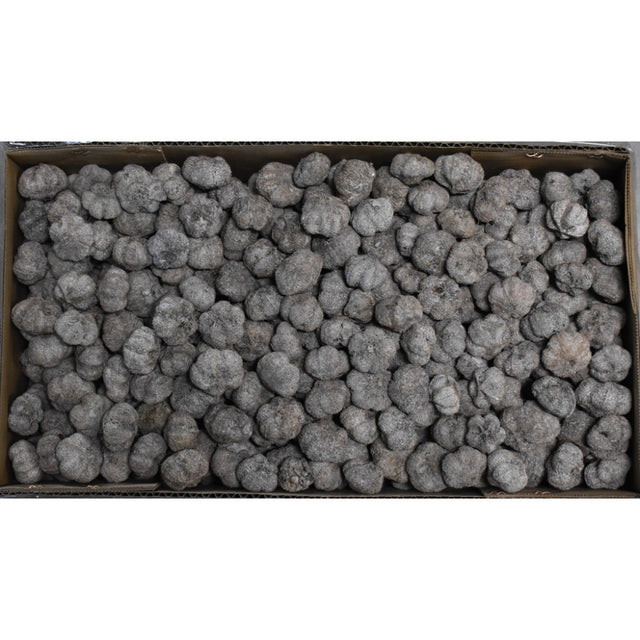 Usturoi cu chiciura 1.3kg