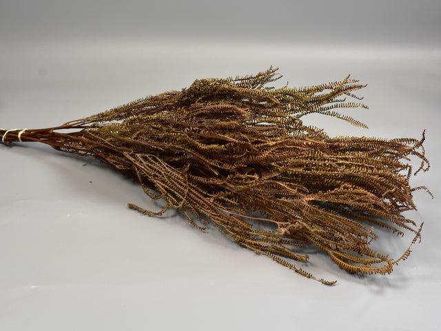 Image for Feriga cu ramuri 150gr natur