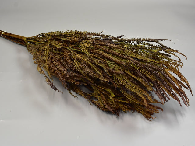 Image for Feriga cu ramuri 150gr verde deschis