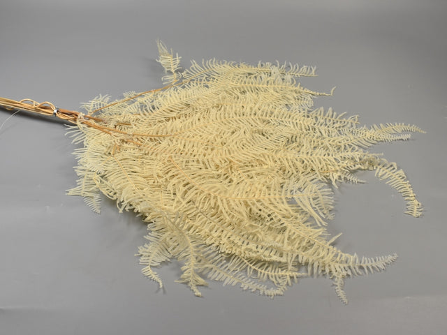 Image for Frunze feriga inalbit