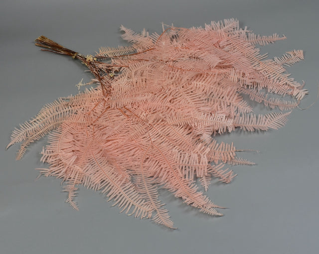 Image for Feriga roz