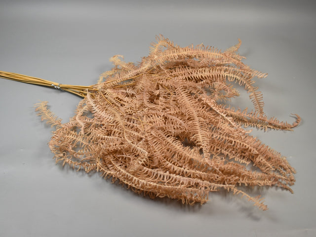 Image for Frunze feriga maro deschis