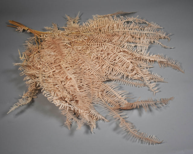 Image for Feriga maro deschis