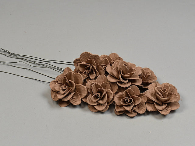 Image for Flori acacia 6cm vopsit cappuccino