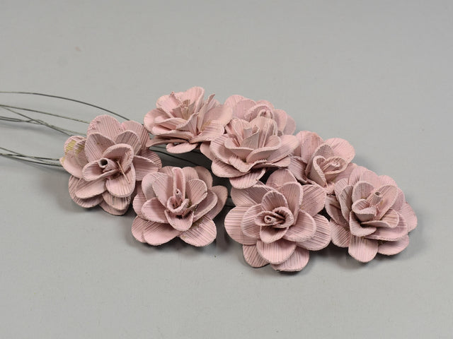 Image for Flori acacia 6cm vopsit roz