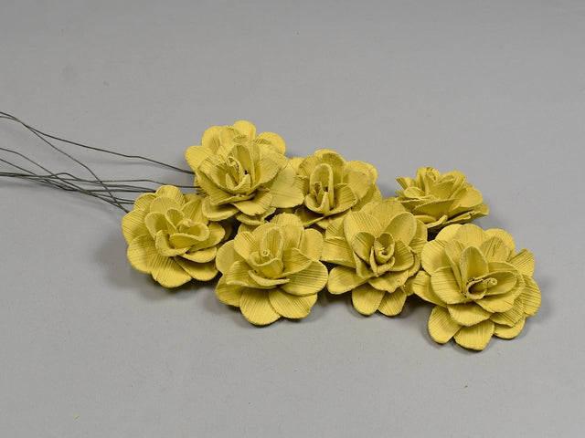 Image for Flori acacia 6cm vopsit-galben