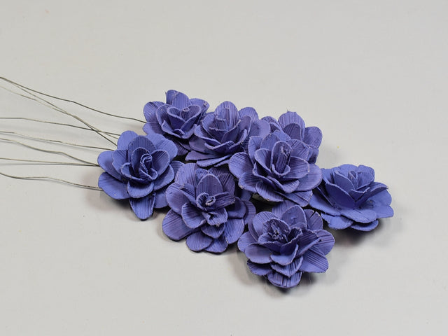 Image for Flori acacia 6cm vopsit very peri