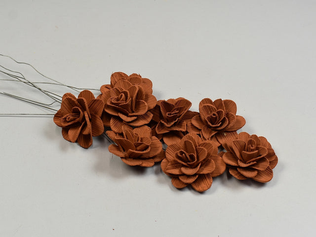 Image for Flori acacia 6cm vopsit maro deschis