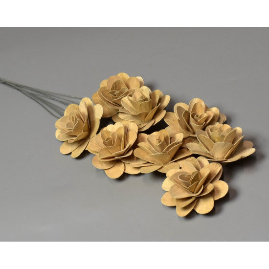 Flori acacia 6cm natur