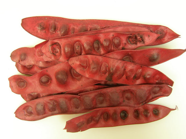 Image for Albezia inalbit rosu