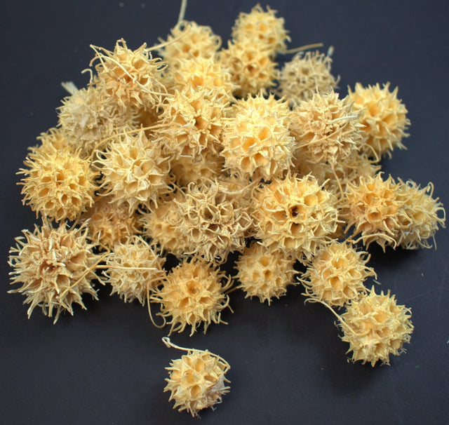 Image for Roade ambra inalbit