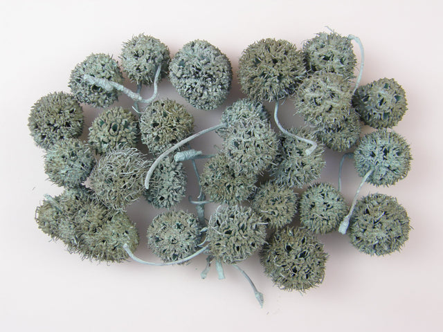 Image for Roade ambra vopsite aqua