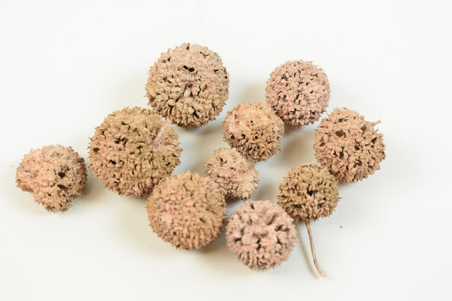 Image for Roade ambra vopsite piersica