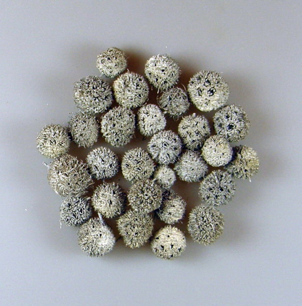 Image for Roade ambra chinezesc vopsit alb