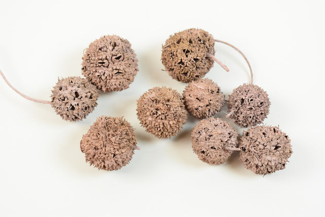 Image for Roade ambra vopsite nalba