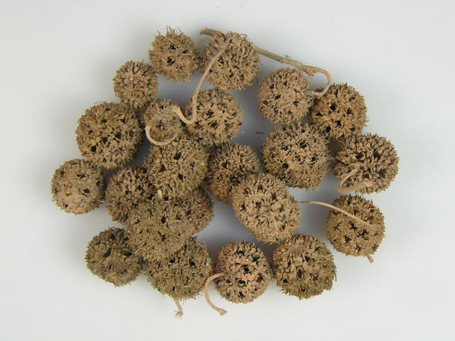 Image for Roade ambra vopsit portocaliu