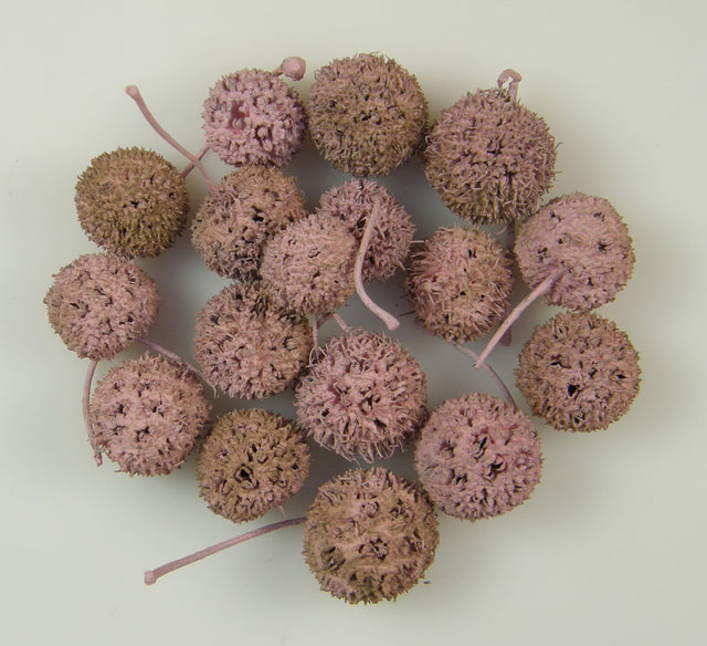 Image for Roade ambra vopsite roz