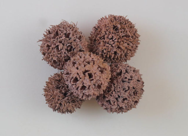 Image for Roade ambra vopsite maro