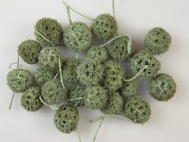 Image for Roade ambra vopsite verde deschis