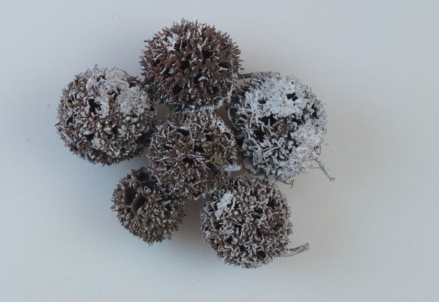 Image for Roade ambra inzapezit