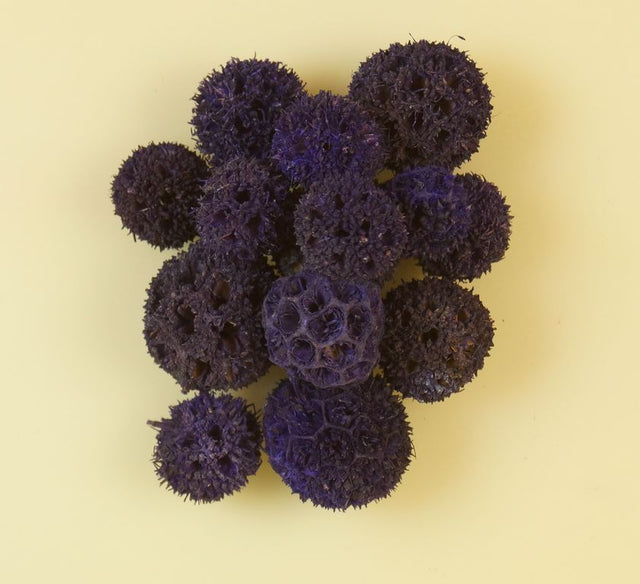 Image for Roade ambra chinezesc mov