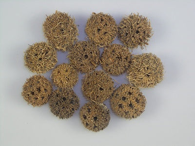 Image for Roade ambra chin. natur