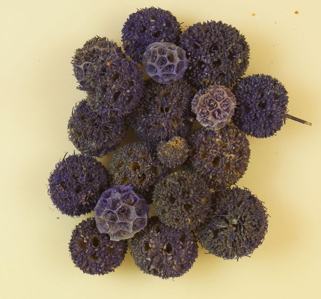 Image for Roade ambra chin. cu chiciura mov