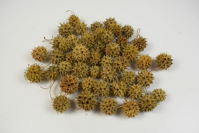 Image for Roade ambra natur